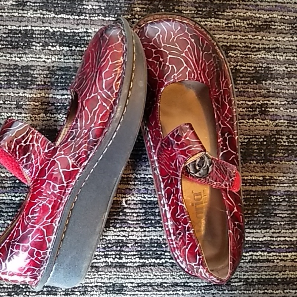 Alegria Comfy Hardly Worn